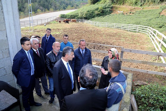 rize-valisi-erdogan-bektas,-merkez-ilce-akpinar-koyunde-faaliyette-bulunan-sut-uretim-ciftligini-ziyaret-ederek-incelemelerde-bulundu-(1).jpg