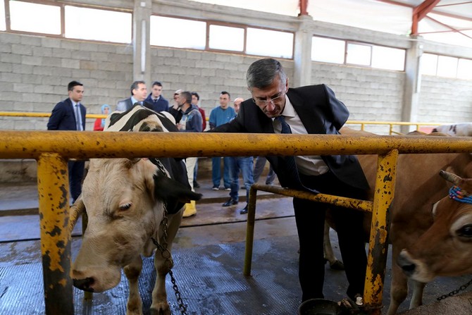 rize-valisi-erdogan-bektas,-merkez-ilce-akpinar-koyunde-faaliyette-bulunan-sut-uretim-ciftligini-ziyaret-ederek-incelemelerde-bulundu-(4).jpg