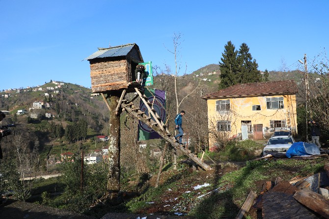 rizeli-genc-8-metre-yuksekligindeki-kiraz-agacina-kulube-yapti-(2).jpg