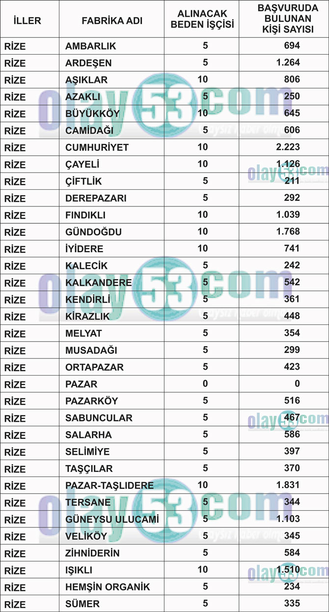 caykurun-rizedeki-fabrikalarina-basvuru-sayilari.jpg